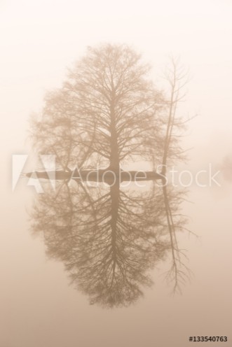 Picture of Small island in the fog on the water